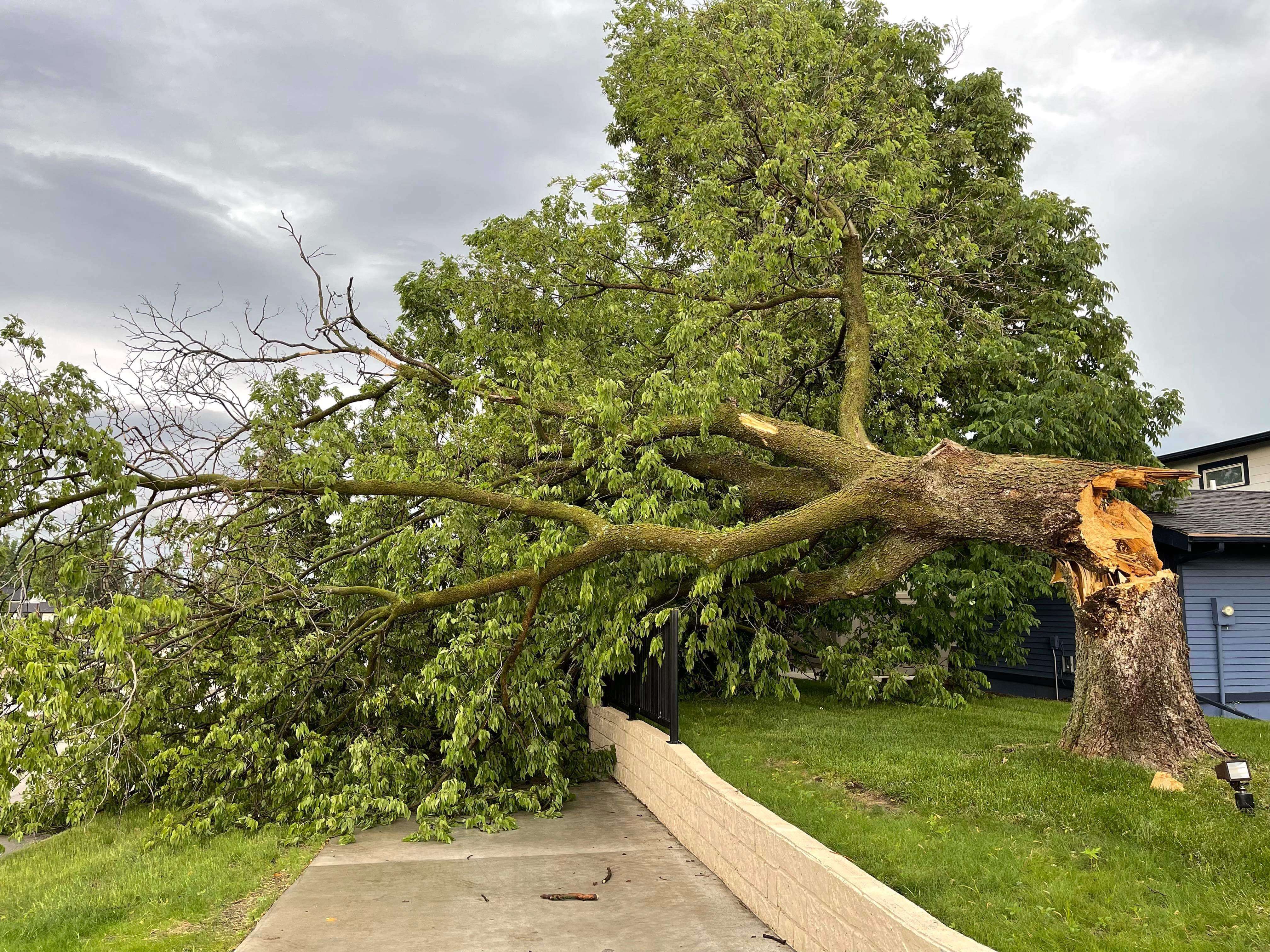 24/7 emergency tree removal service - Storm damage and hazardous tree response in Des Moines