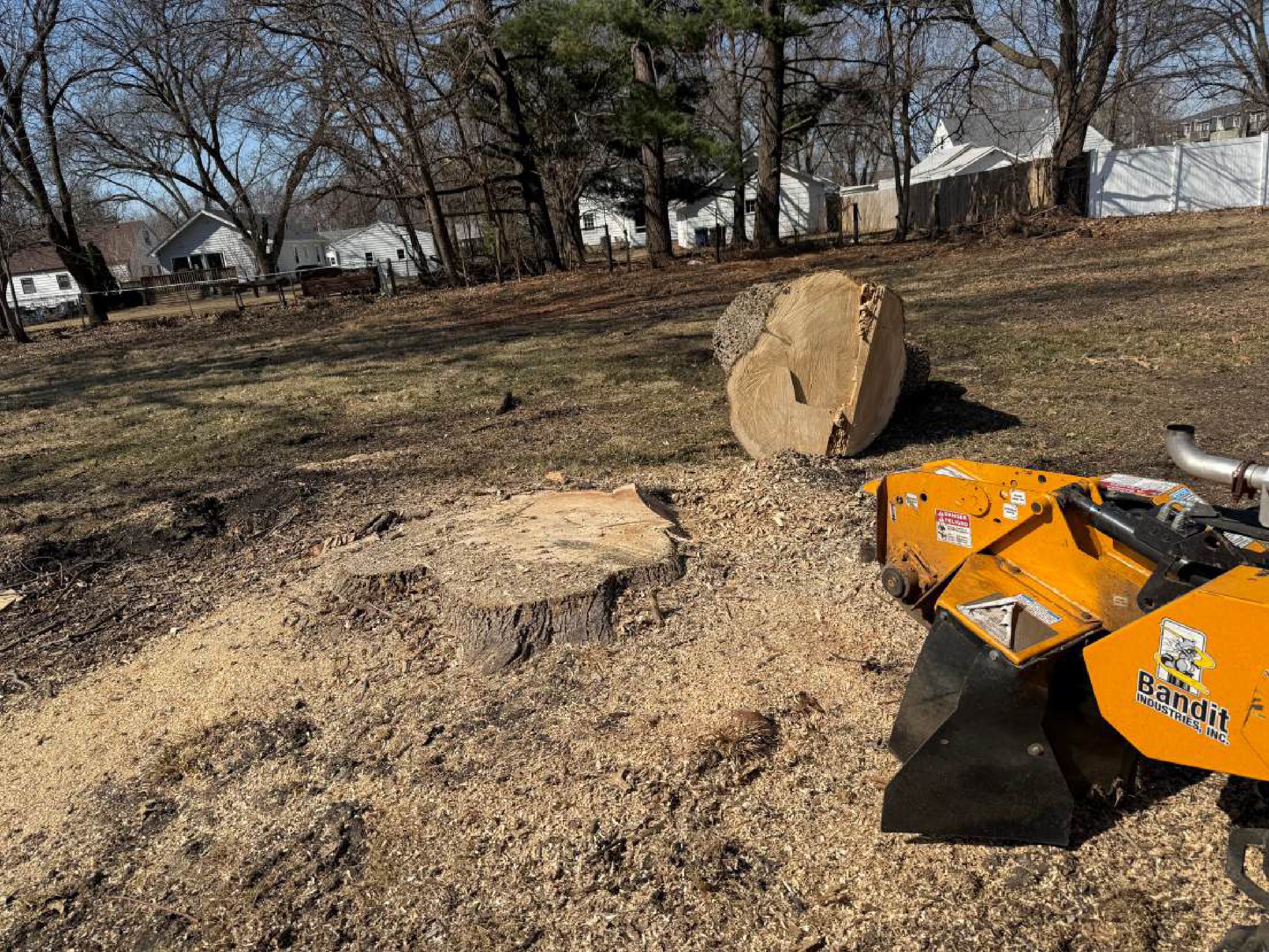 Professional stump grinding and removal service - Complete stump elimination in Ankeny Iowa