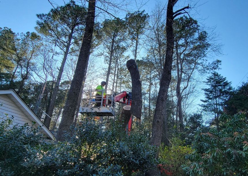 Tree Network crew with professional bucket truck safely removing tall trees in Pleasant Hill Iowa