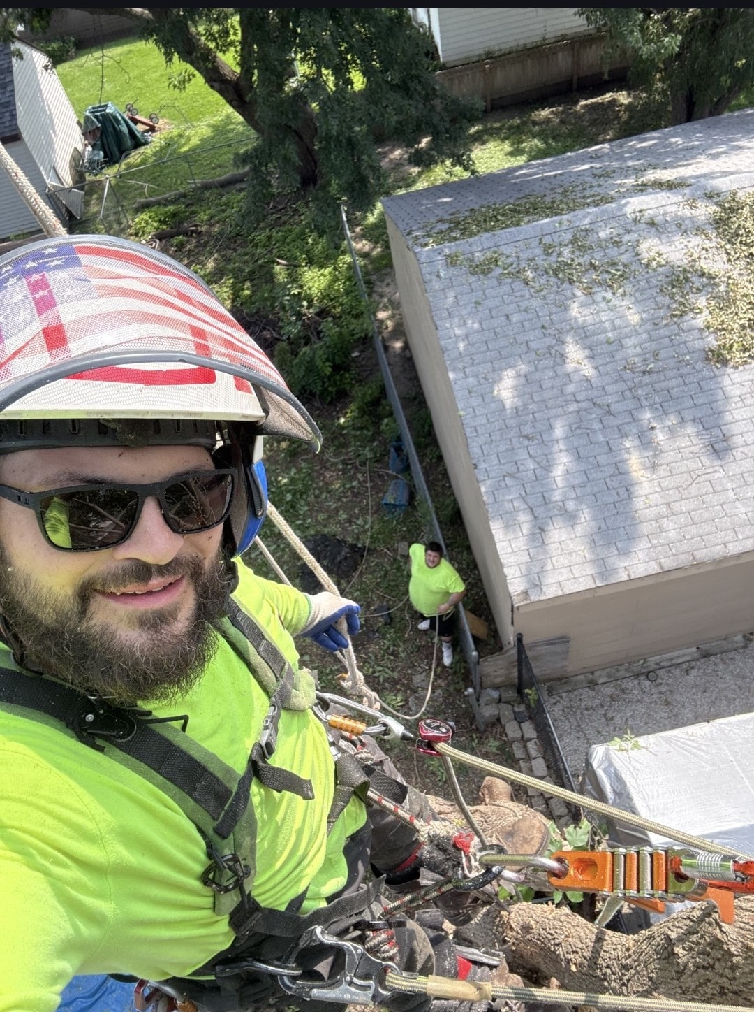 Licensed tree care specialist in bucket lift performing precision tree trimming and pruning