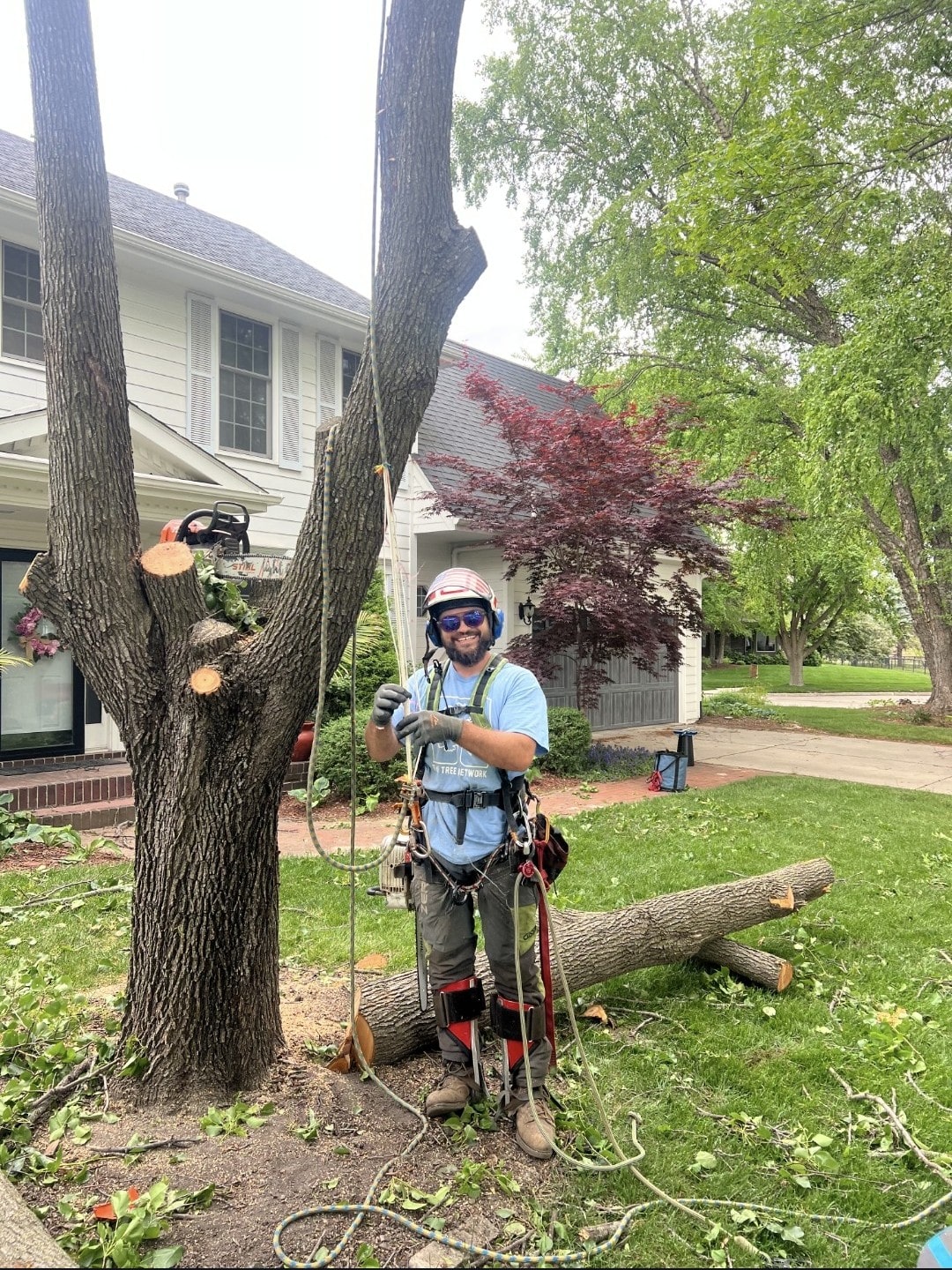 Expert arborist performing tree services - Tree trimming, pruning and removal in Des Moines area